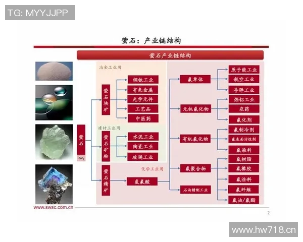 独家解析：WE战队成员个人能力深度对比与分析